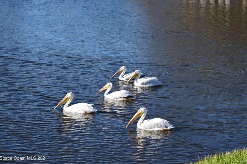 1295 Continental Ave, Melbourne FL 32940-6702 exterior