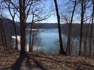 11 Lakepointe Dr, Seminary, KY 42602-9590