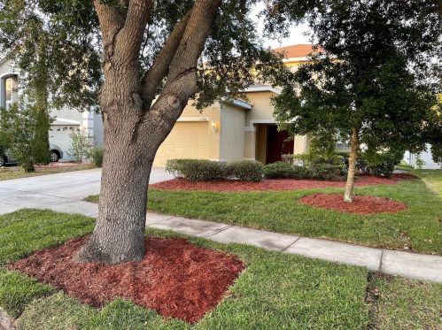 11206 Creek Haven Dr, Riverview, FL 33569-6201