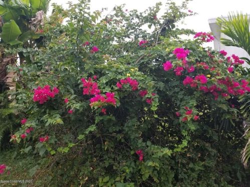 622 Royal Tern Dr, Sebastian FL  32976-7360 exterior