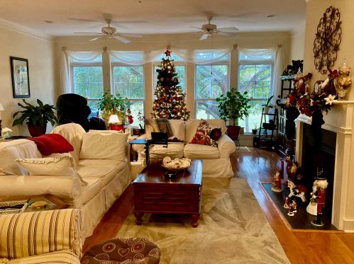 2001 Hopeman Ln, Mount Pleasant SC  29466-9280 exterior