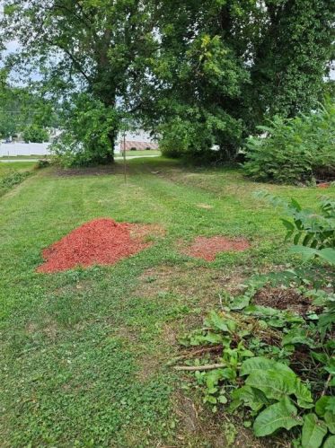 1309 Crawford Ave, South Connellsville, PA 15425-2430
