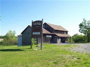 11447 Ridge Rd, Medina, NY 14103-9635