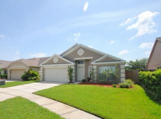 18121 Leafwood Cir, Lutz FL  33558-2747 exterior