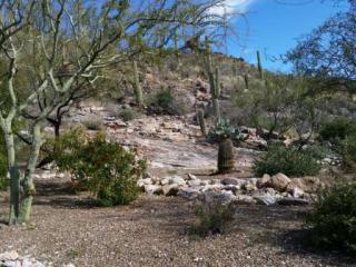 7740 Calle Sin Miedo, Tucson, AZ 85718-1254