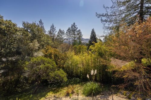 2000 Los Olivos Rd, Santa Rosa CA  95404-2018 exterior
