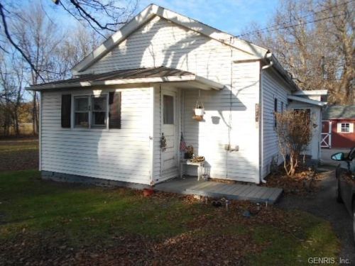 617 Packwood Rd, Junius, NY 13165-9722