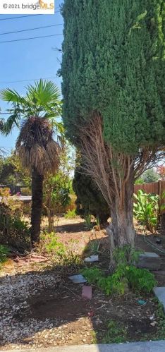 101 Francisco Villa Dr, Oakley, CA 94561-5715