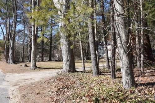 144 Woodbine Ave, Hanson MA  02341-2063 exterior