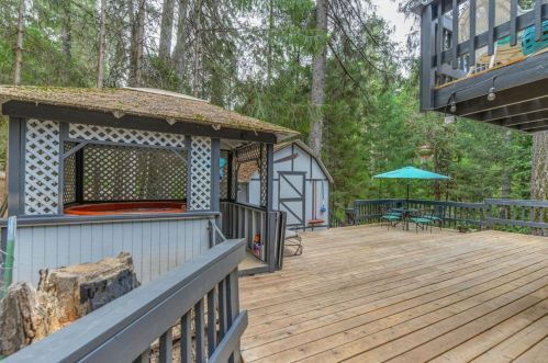 16199 Pioneer Creek Rd, Pioneer CA  95666-9415 exterior