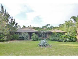 8822 Fenton St, Orlando, FL 32836-6115