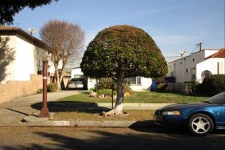 719 91st St, Los Angeles, CA 90002-1623