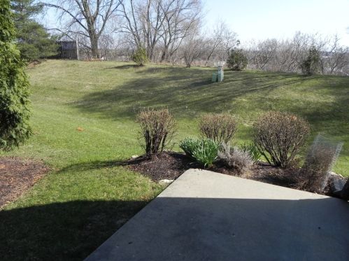 1427 Niagara St, Waukesha WI  53186-3961 exterior