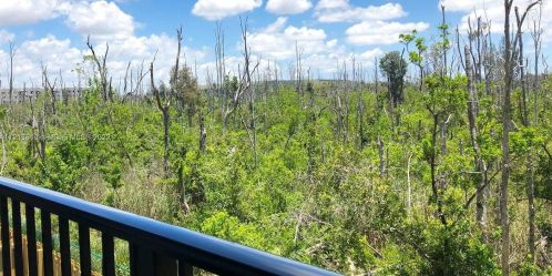 8015 104th Ave, Miami FL 33178 exterior