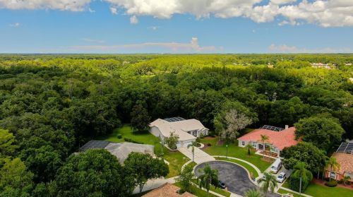 3874 Crescent Cove Pl, Tarpon Springs FL  34688-7708 exterior