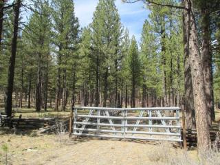 4959 O Feather Rd, Portola, CA 96122-9654