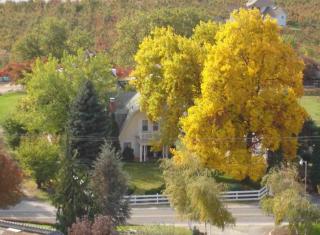 529 Lower Sunnyslope Rd, Wenatchee, WA 98801-9618