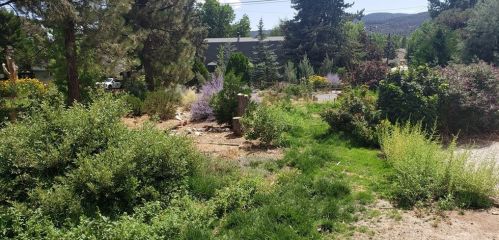1100 Coldwater Dr, Frazier Park, CA 93225-9608