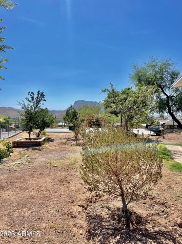 65 Sunset Dr, Superior, AZ 85173-4720