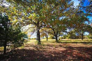 2320 Post Rd, Arcadia, OK 73007-7308