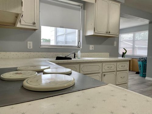 5046 Moog Rd, Tarpon Springs FL  34690-2054 exterior