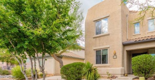 10755 Orchid Cactus Ln, Tucson, AZ 85747-6059