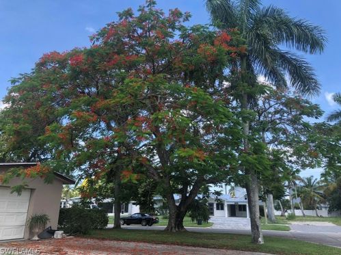 1004 6th Ln, Naples, FL 34102-8101