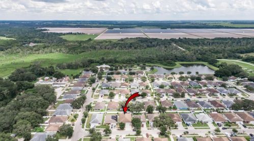 15408 Bama Breeze Pl, Wimauma FL  33598-2215 exterior