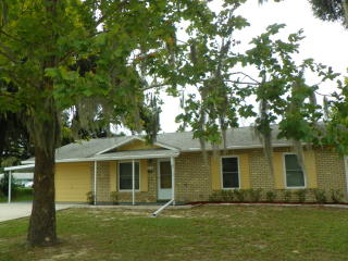 5234 106th St, Belleview, FL 34420-3210
