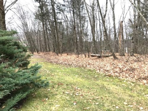 111 Hidden Ridge Dr, Monticello NY  12701-3071 exterior