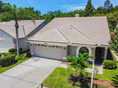 3664 Darston St, Palm Harbor FL  34685-1182 exterior
