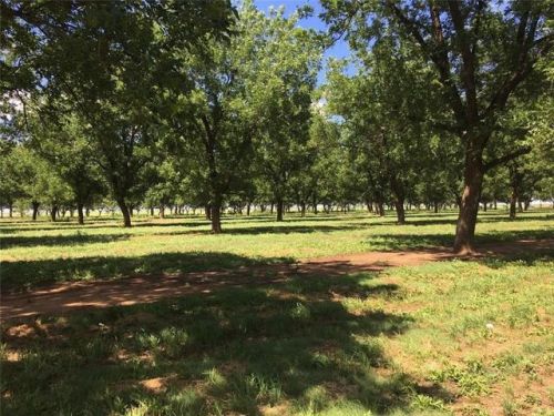 1935 Fm 145, Hart, TX 79043-5225
