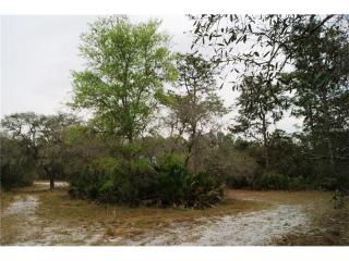 2801 Indian Pipes Trl, West Frost Proof, FL 33843-4311