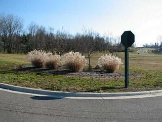 381 Buena Vista Dr, Johnstown, OH 43031-1363