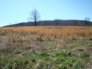 1440 Brotherton Dr, Cookeville, TN 38506-8986