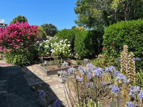 704 Sequoia St, Windsor CA  95492-9328 exterior