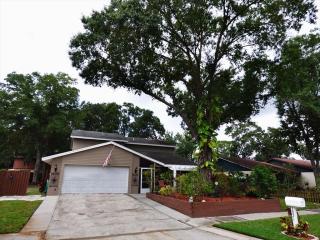 3821 Cloverhill Ct, Brandon, FL 33511-7937