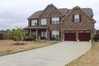 25 Roanoke Hl Ct, Simpsonville SC  exterior
