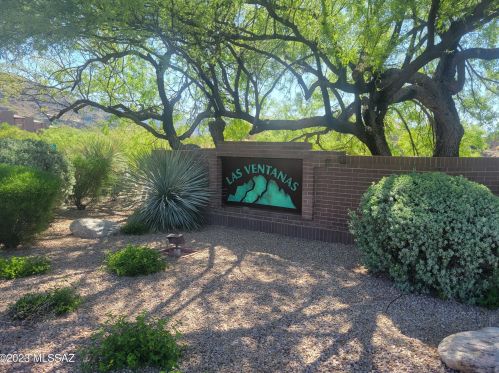6376 Placita Divina, Tucson, AZ 85750-0976