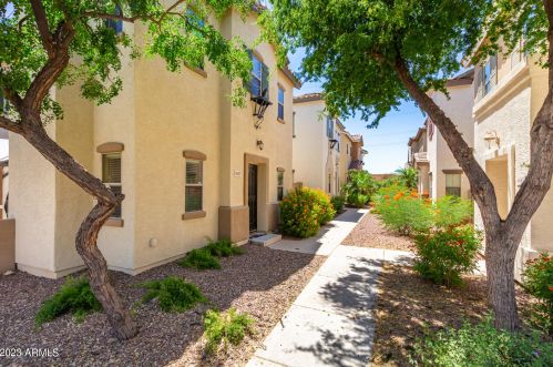 4687 Olney Ave, Gilbert, AZ 85234-7837