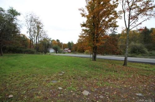 244 Main St, Lew Beach NY  12758-5409 exterior