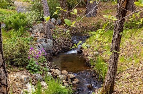 13407 Thoroughbred Loop, Grass Valley CA  95949-7691 exterior