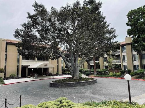 1855 Diamond St, San Diego CA  92109-3358 exterior