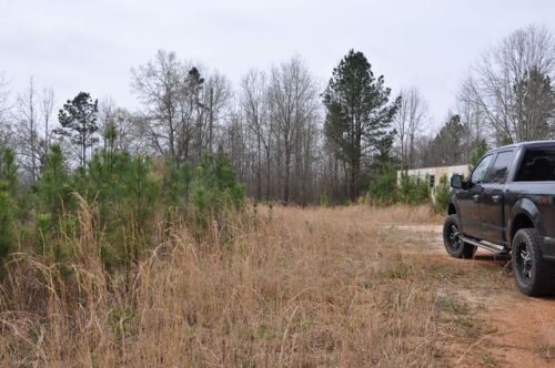 650 Water Shed Dr, Cragford, AL 36255-6105