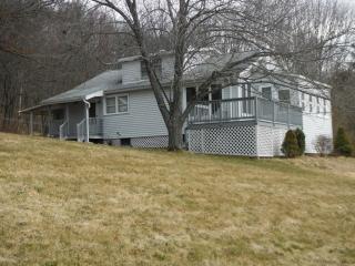 355 Lisle Rd, Flemingville, NY 13827-1156