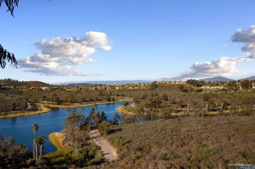 11160 Caminito Vista Pacifica, San Diego, CA 92131-3301