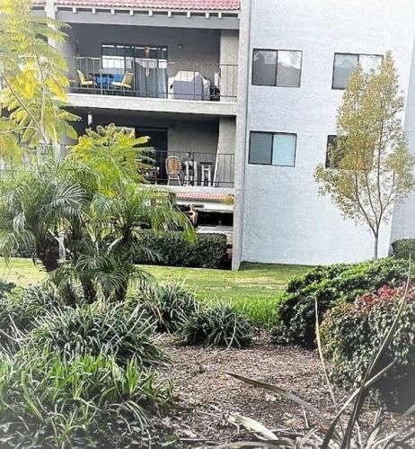 238 Fern Ave, Redlands CA  92373-6065 exterior