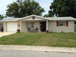 1259 Chelsea Ln, Tarpon Springs, FL 34691-4910