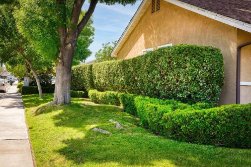 2001 Majestic Oak Ct, Modesto CA  95355-9411 exterior