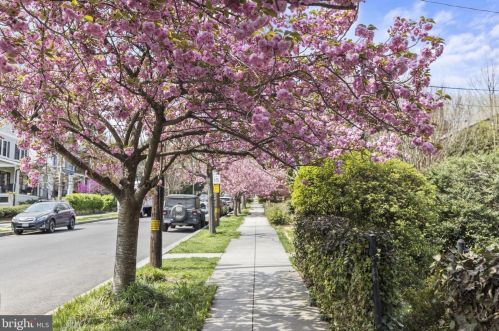 3715 Yuma St, Washington, DC 20016-2211